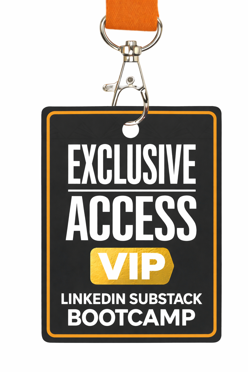 The VIP Experience